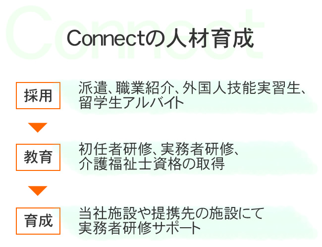 Connectの人材育成 【採用】派遣、職業紹介、外国人技能実習生、留学生アルバイト→【教育】初任者研修、実務者研修、介護福祉士資格の取得→【育成】当社施設や提携先の施設にて実務者研修サポート